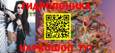 СК Изобильный
