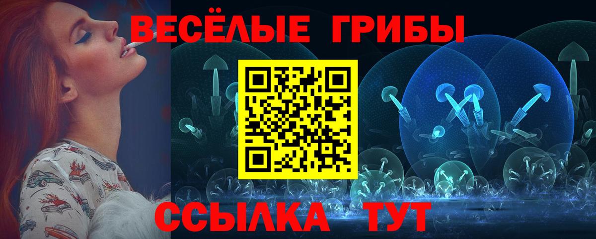 Псилоцибиновые грибы GOLDEN TEACHER Кызыл